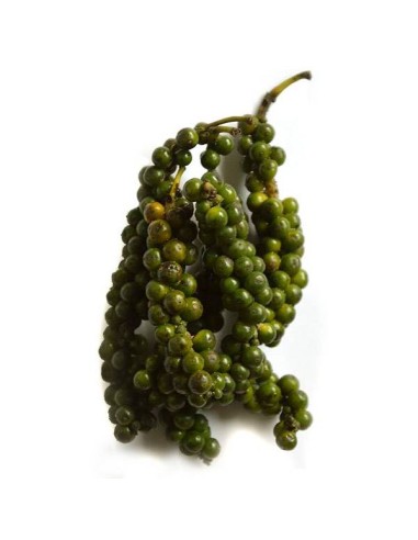 Poivre vert de Kampot - IGP - Biologique - Premium - en grains - 500g- KHLA