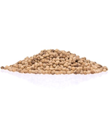 Poivre blanc de Kampot IGP - Biologique - Premium - en grains - 100g - Palme- KHLA
