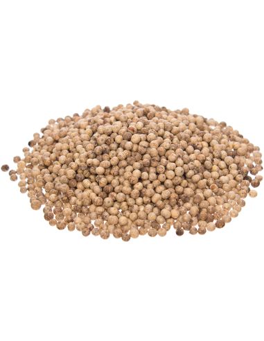 Poivre blanc de Kampot IGP - Biologique - Premium - en grains - 50g - Palme- KHLA