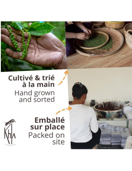 Poivre noir de Kampot - IGP - Biologique - Premium - en grains - 50g - Palme- KHLA Poivre noir de Kampot - IGP - Biologique - Premium - en grains - 50g - Palme- KHLA