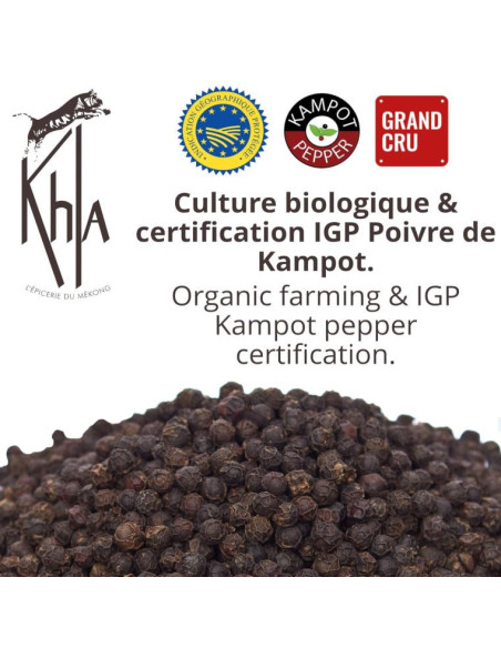 Poivre noir de Kampot IGP - Biologique - Premium - en grains - 100g - Palme- KHLA Poivre noir de Kampot IGP - Biologique - Premium - en grains - 100g - Palme- KHLA