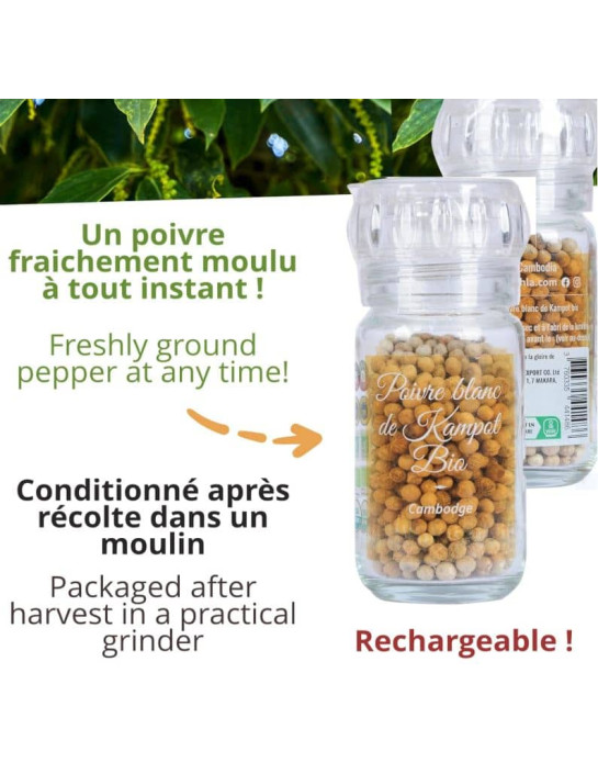 Poivre blanc de Kampot - IGP - Biologique - Premium - en grains - 45g - Moulin- KHLA
