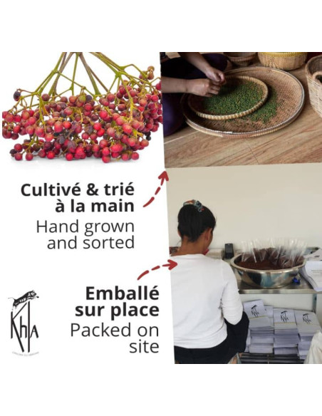 Baie verte de Sichuan - en grains - 24g - Moulin- KHLA