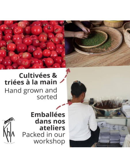 Baies roses biologique - 30g - Pot- KHLA