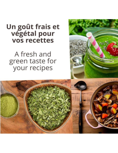 Moringa - en poudre bio - poche 250g- KHLA