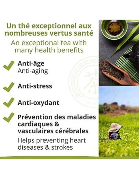 Thé vert - Chun Mee - Biologique - en vrac - 90g- THÉ D'ASIE