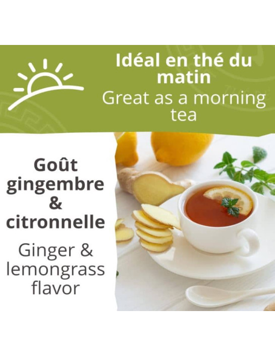 Thé vert d'Angkor - Biologique - en vrac - 500g- THÉ D'ASIE