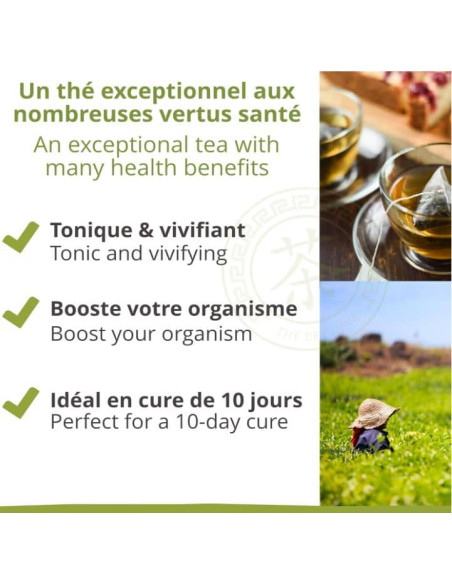 Thé vert d'Angkor - Biologique - en vrac - 500g- THÉ D'ASIE