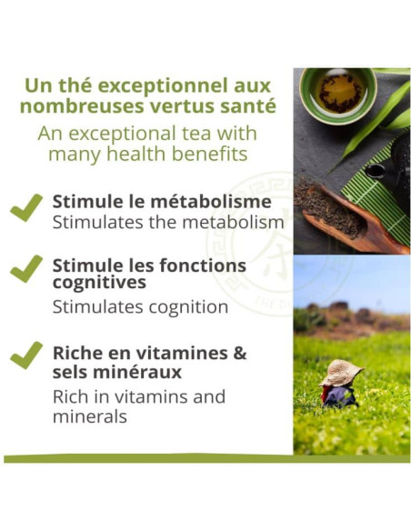 Thé vert - Sencha - Biologique - en vrac - 100g- THÉ D'ASIE
