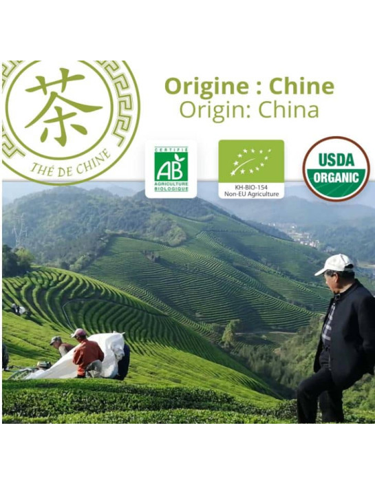 Thé vert - Sencha - Biologique - en vrac - 500g- THÉ D'ASIE