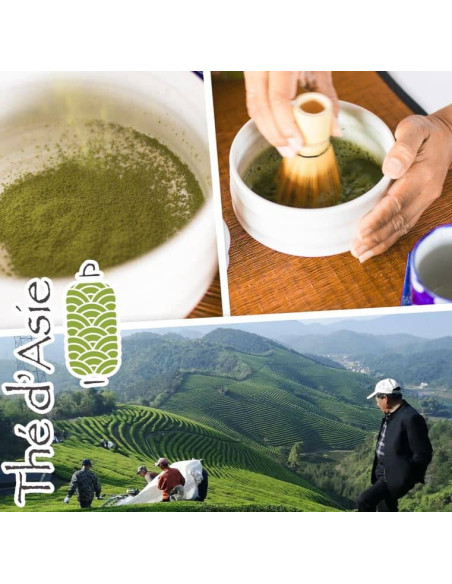 Thé vert - Matcha - Biologique - en vrac - 200g- THÉ D'ASIE