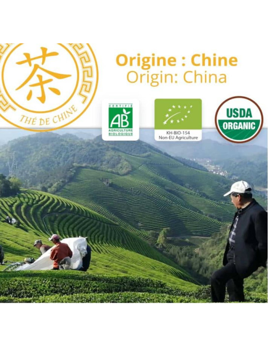 Thé blanc - Paï Mu Tan - Biologique - en vrac - 250g- THÉ D'ASIE