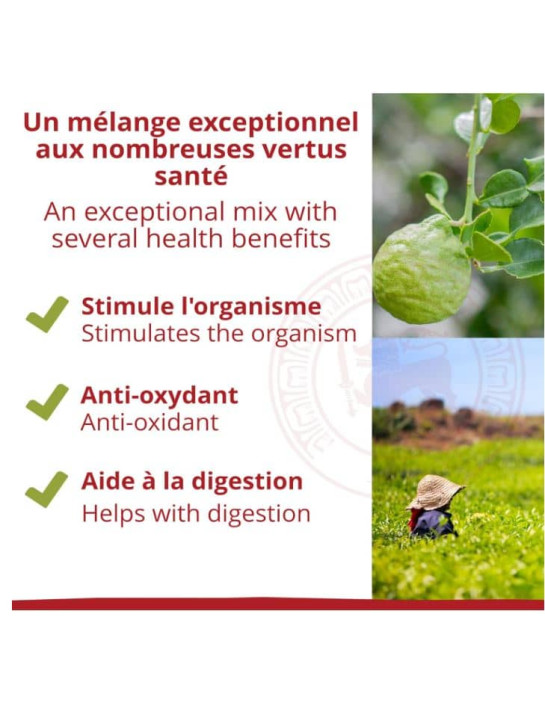 Thé noir - Earl Grey - Biologique - en vrac - 90g- THÉ D'ASIE