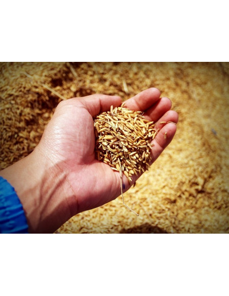 Riz blanc SENKRA Ob Jasmin - 1kg- KHLA Riz blanc SENKRA Ob Jasmin - 1kg- KHLA