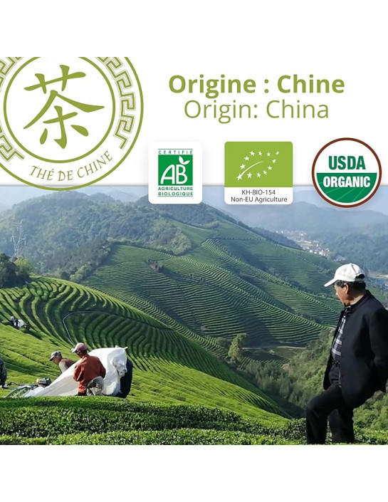 Thé vert - Jasmin - Biologique - Pack infusettes x80- THÉ D'ASIE