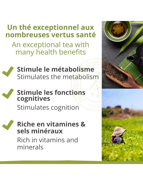 Thé vert - Jasmin - Biologique - Pack infusettes x80- THÉ D'ASIE