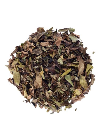 Thé blanc - Paï Mu Tan - Biologique - en vrac - 50g- THÉ D'ASIE