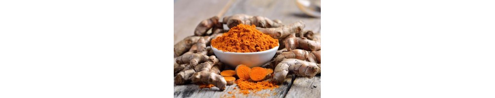 Curcuma bio