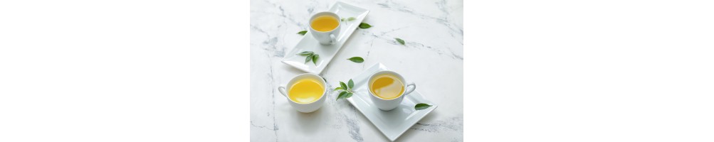 Sencha