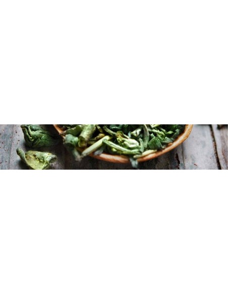 Thé vert bio