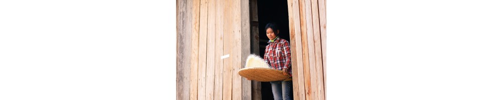 Riz du Cambodge