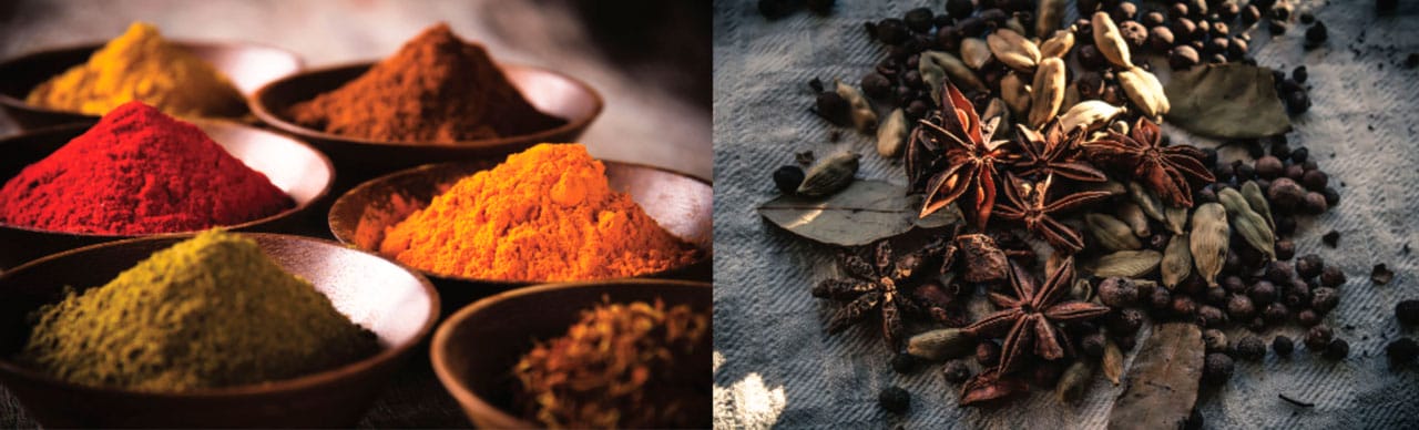 mélanges d'épices bio et currys