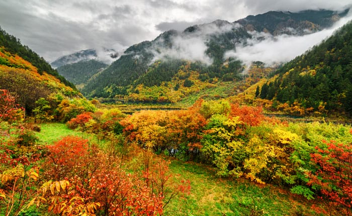 sichuan destination touristique