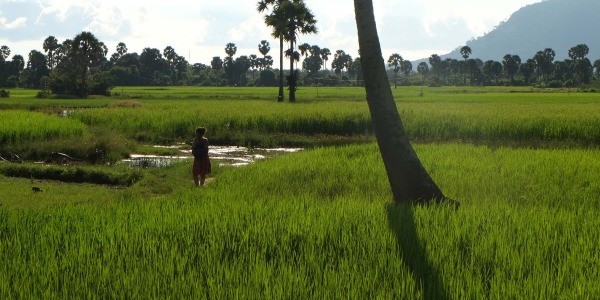 Kampot: une destination pimentée à découvrir