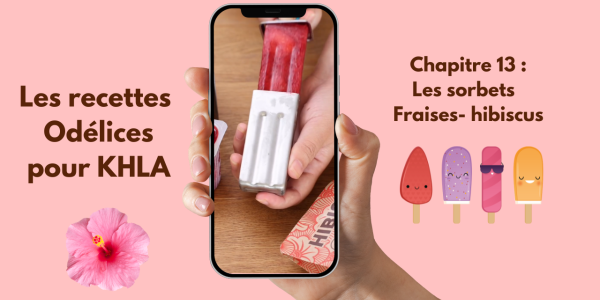 Les sorbets Hibiscus-fraises