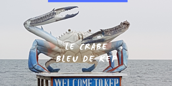 Le crabe de Kep