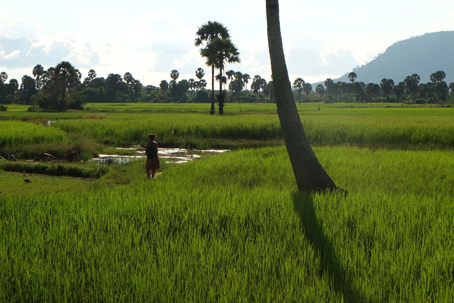 Kampot: une destination pimentée à découvrir