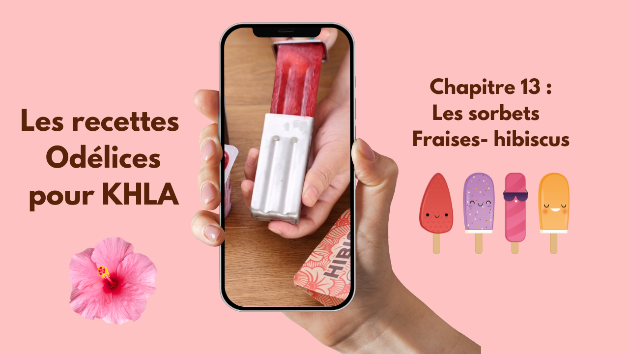 Les sorbets Hibiscus-fraises